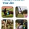 Portable Stainless Steel Dog Water Bottle With Foldable Cup 11