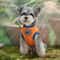 Goku Style Summer Pet Vest For Small Dogs And Cats 3