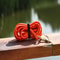 Waterproof Heavy Duty PVC Dog Training Leash 5