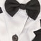 Formal Pet Wedding Suit With Bow Tie 4