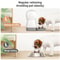 Smart WiFi Automatic Pet Feeder With Voice Recorder 9