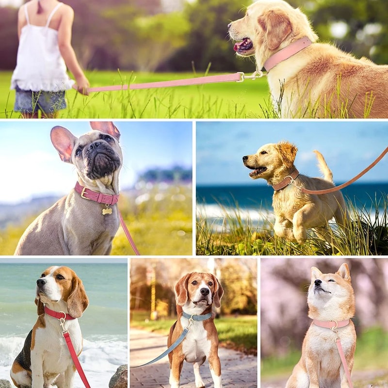 Soft Padded PU Leather Dog Collar And Leash Set 4