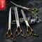 Professional Sakura Dance Pet Grooming Scissors Set 3