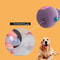 Squeaky Rubber Animal Dog Chew Toy 3