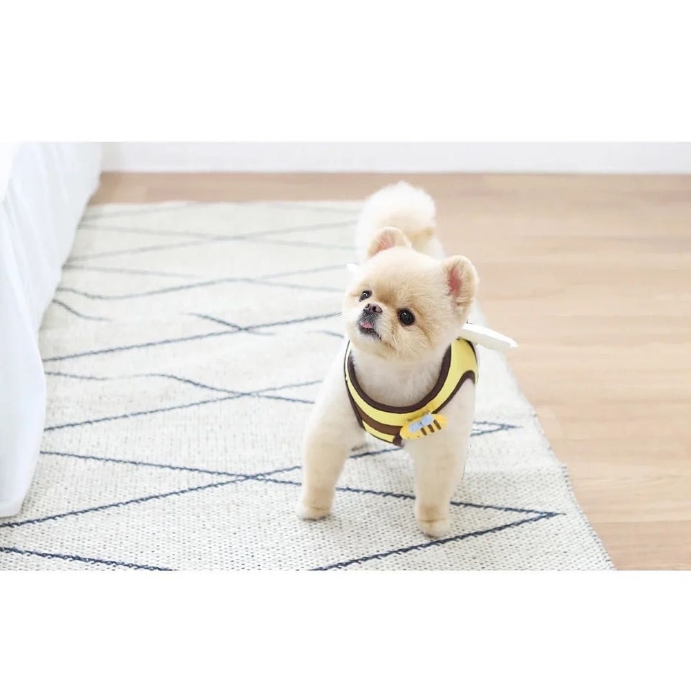 Cute Bee Pet Harness And Leash Set 5