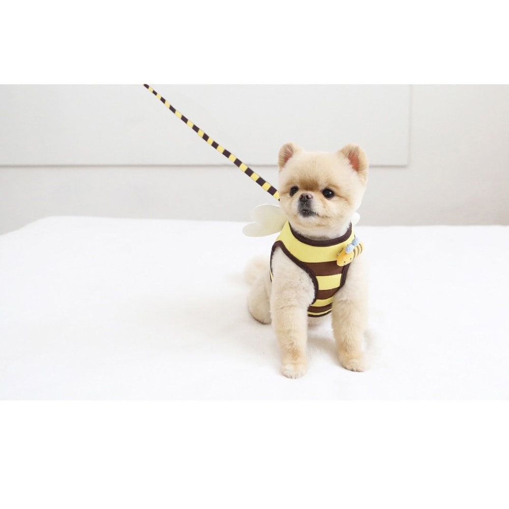 Cute Bee Pet Harness And Leash Set 6
