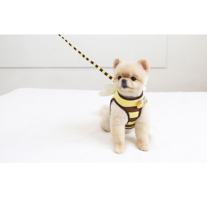 Cute Bee Pet Harness And Leash Set 6