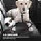 Reflective Tactical Bungee Dog Leash With Seatbelt 2