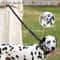 Reflective Tactical Bungee Dog Leash With Seatbelt 3