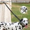 Reflective Tactical Bungee Dog Leash With Seatbelt 3
