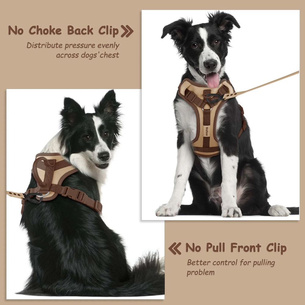 Luxury Chocolate Adjustable No Pull Dog Harness 5