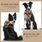 Luxury Chocolate Adjustable No Pull Dog Harness 5