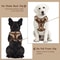 Luxury Chocolate Adjustable No Pull Dog Harness 6