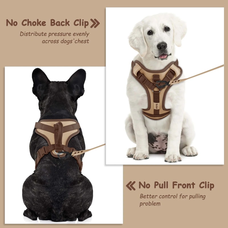 Luxury Chocolate Adjustable No Pull Dog Harness 6