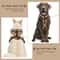 Luxury Chocolate Adjustable No Pull Dog Harness 7