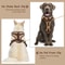 Luxury Chocolate Adjustable No Pull Dog Harness 7