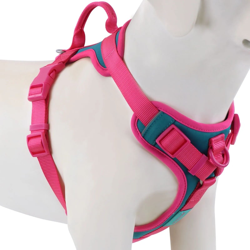 Luxury Chocolate Adjustable No Pull Dog Harness 13