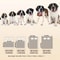 Double Sided Waterproof Dog Sofa Protector Blanket 4