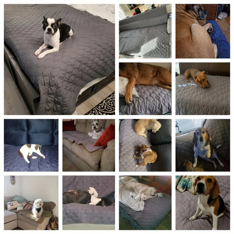 Double Sided Waterproof Dog Sofa Protector Blanket 5
