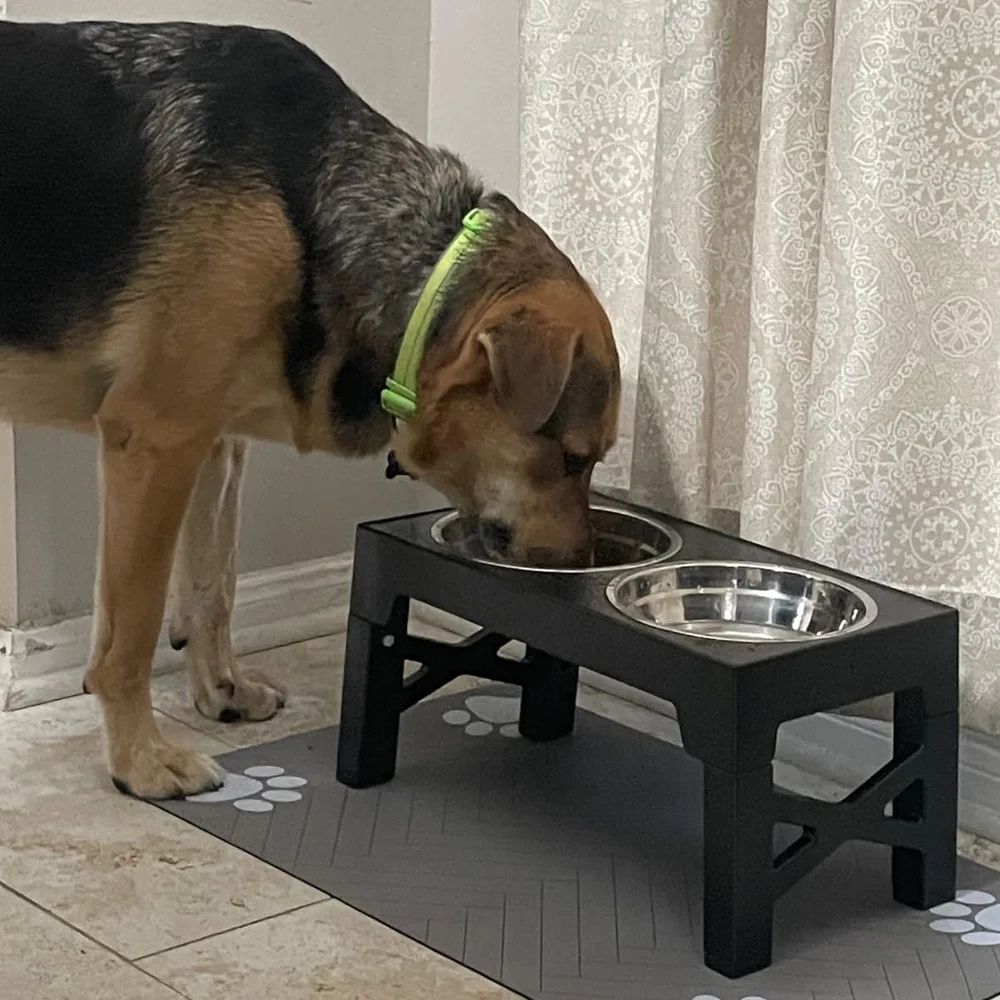 Adjustable Elevated Dog Feeder With Stainless Steel Bowls 9