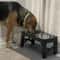 Adjustable Elevated Dog Feeder With Stainless Steel Bowls 9