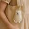 Cute Pet Hair Storage Keychain Pendant Set 4