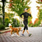 Adjustable Hands Free P Shape Dog Leash 8