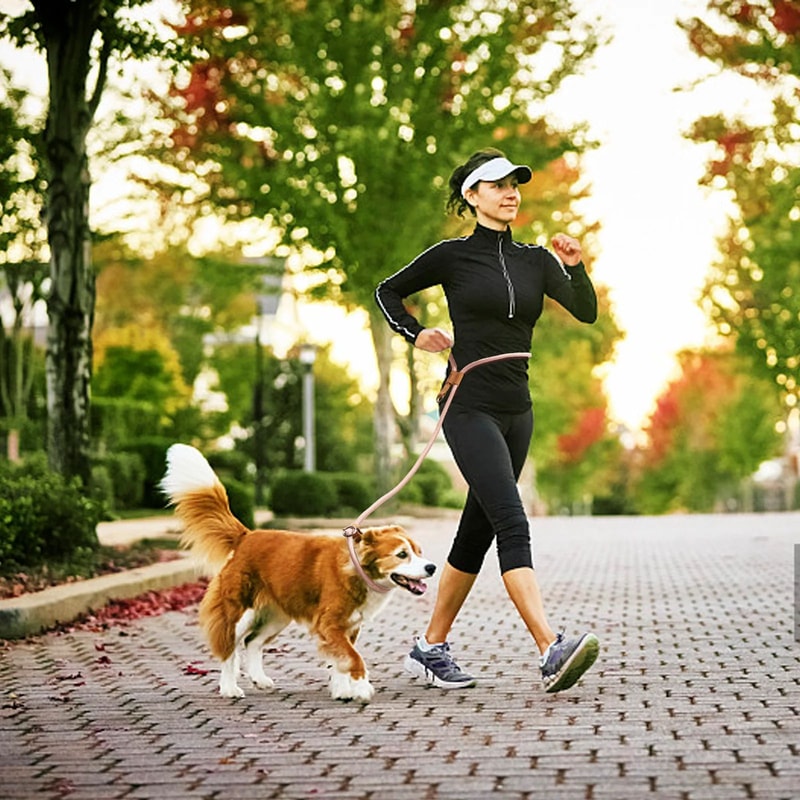 Adjustable Hands Free P Shape Dog Leash 8