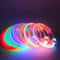 LED Glowing Dog Safety Collar 3