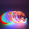 LED Glowing Dog Safety Collar 3