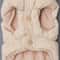 Warm Winter Dog Coat Jacket Vest 3