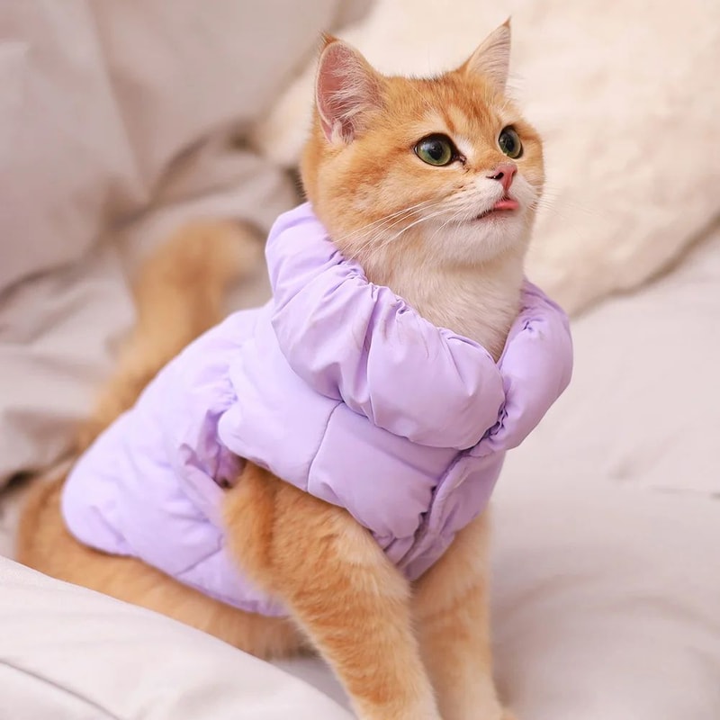 Warm Winter Dog Coat Jacket Vest 8