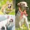 Summer Pet Cooling Scarf Ice Collar 2