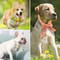 Summer Pet Cooling Scarf Ice Collar 2