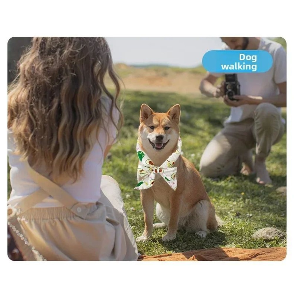 Summer Pet Cooling Scarf Ice Collar 9