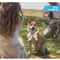 Summer Pet Cooling Scarf Ice Collar 9