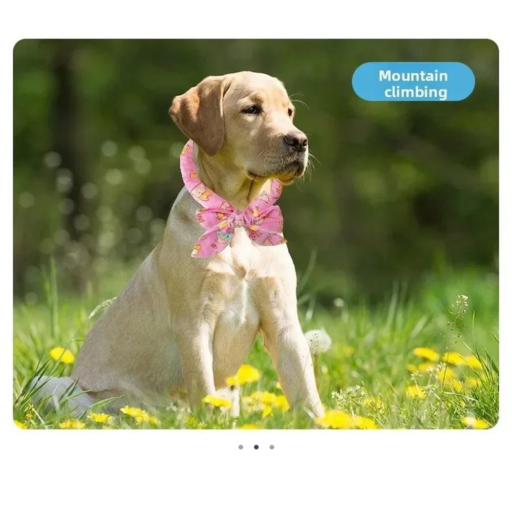 Summer Pet Cooling Scarf Ice Collar 11