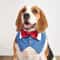 Formal Dog Tuxedo Bandana Bowtie Collar 7