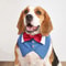 Formal Dog Tuxedo Bandana Bowtie Collar 7