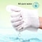 Pet Dry Cleaning Gloves Hair Removal Wipes 3