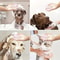 Silicone Pet Massage Shower Grooming Brush 8