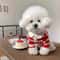 Fashion Striped Dog Shirt Cooling Vest 2