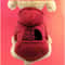 Warm Cowboy Pocket Pet Sweater Outfit 1