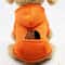 Warm Cowboy Pocket Pet Sweater Outfit 3