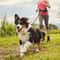 Hands Free Adjustable Dog Leash For Running And Walking 4