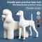 Realistic Poodle Grooming Practice Dog Model 0
