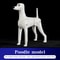 Realistic Poodle Grooming Practice Dog Model 6