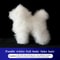 Realistic Poodle Grooming Practice Dog Model 8