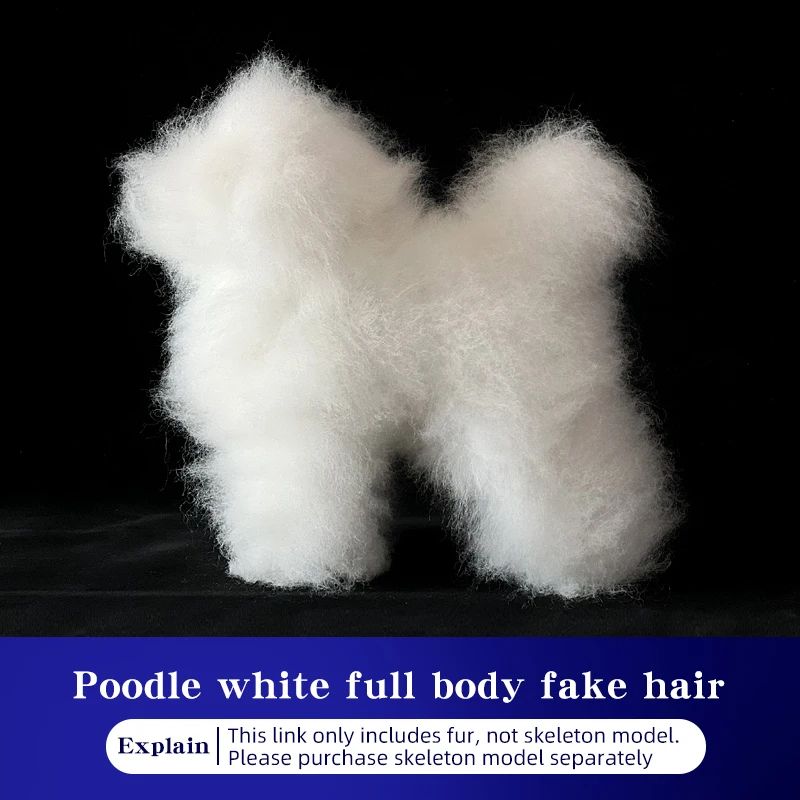Realistic Poodle Grooming Practice Dog Model 8