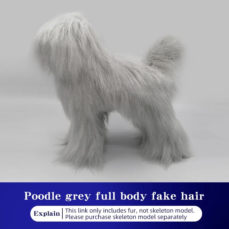 Realistic Poodle Grooming Practice Dog Model 9